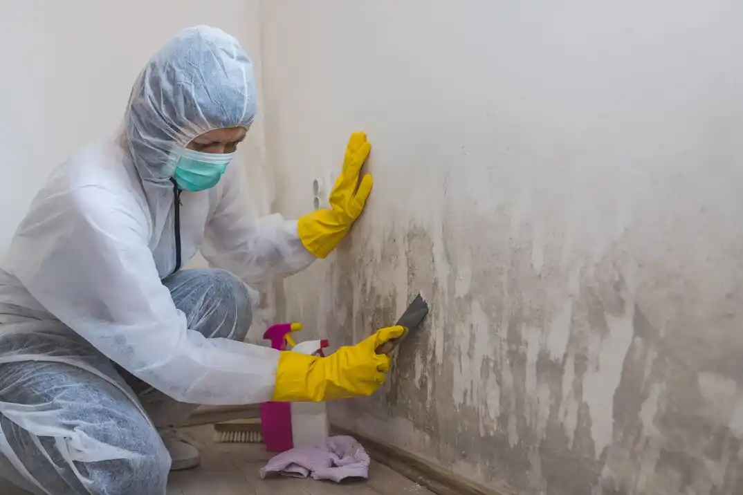 water damage restoration service South Side